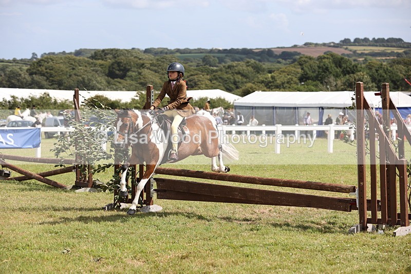 JPP_2162 - Class 19: Working Hunter 60cm