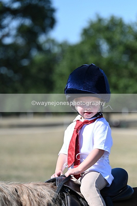 WJ7_1496 - Class 42 Most Handsome Gelding