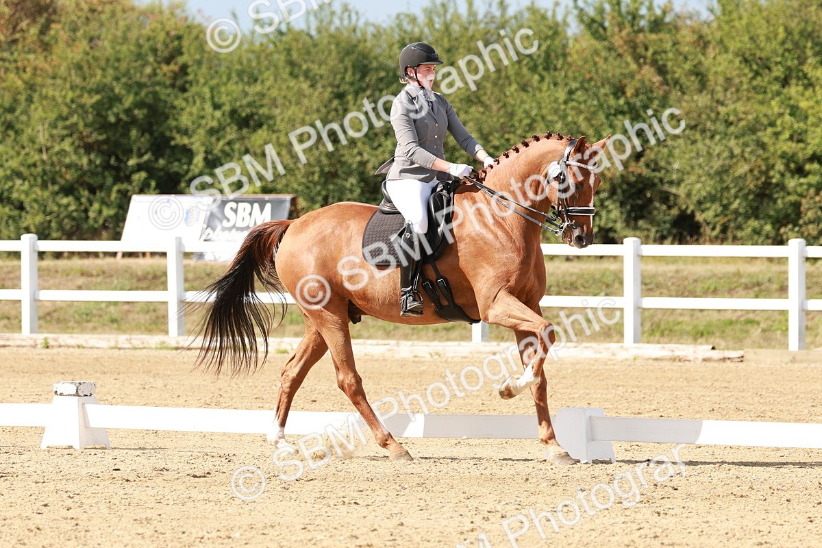 SBM_002560 - Class 11 - Medium 6