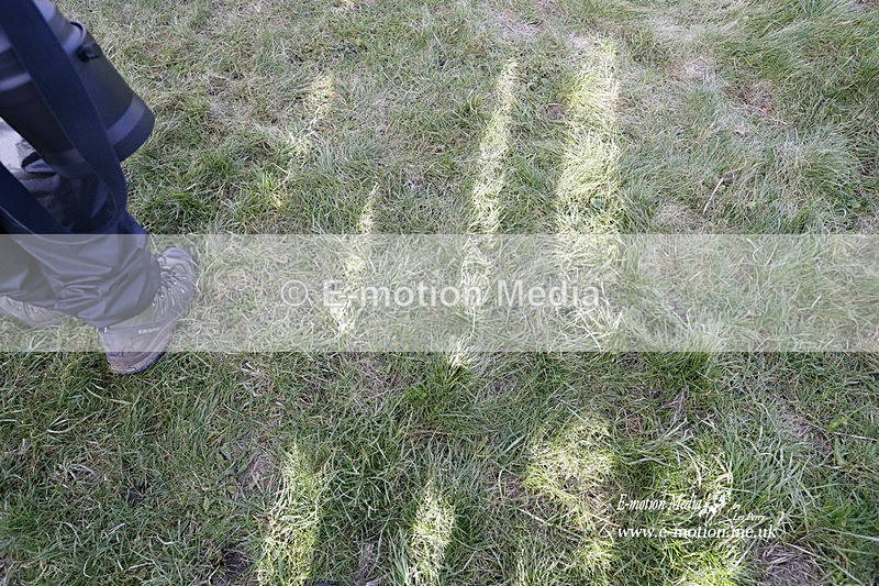 PtP 290123 0865 - Combined Services Point-to-Point  Presentations 05/02/23