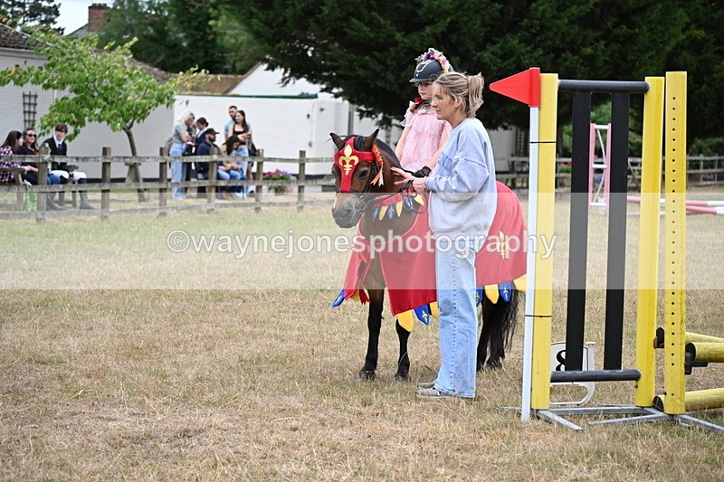 WJ6_9128 - Class 11 Fancy Dress