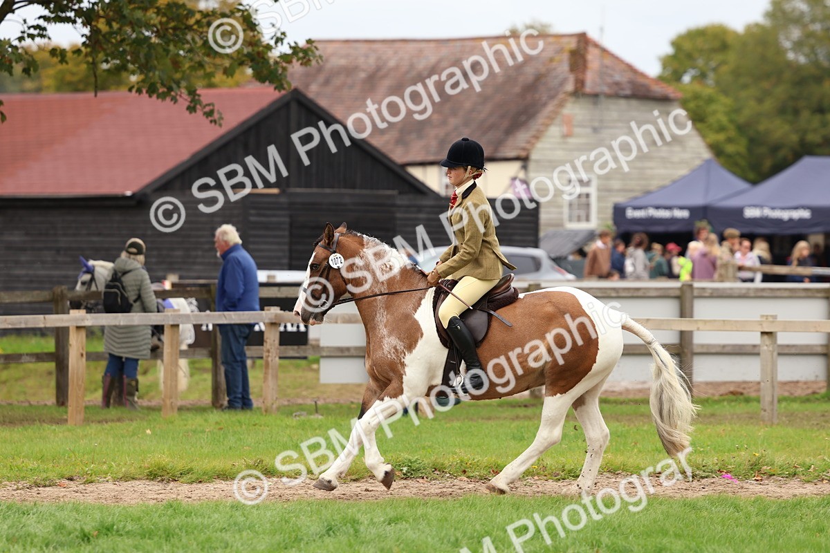 SBM_64562 - S58 - Coloured Pony Ridden