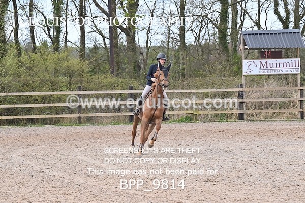BPP_9814 - CLASS 18 SUN Ron Brady SporthorsesRHS