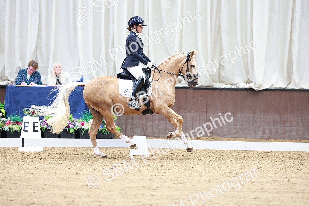 SBM_017322 - Class15 - FEI Pony