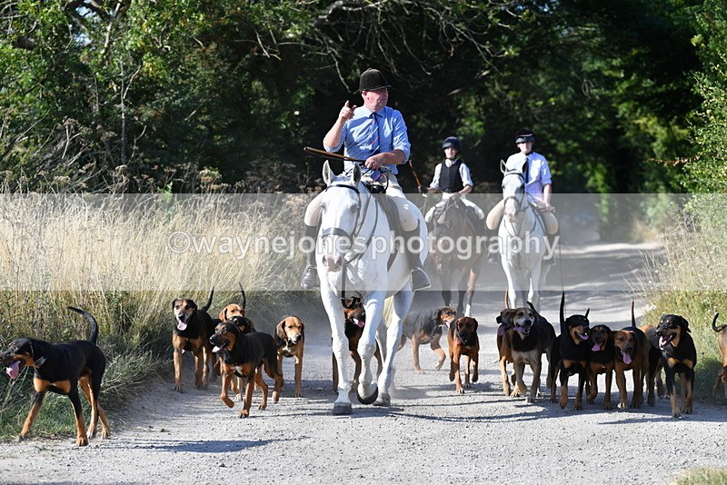 WJ5_4802 - Walk out with the hounds