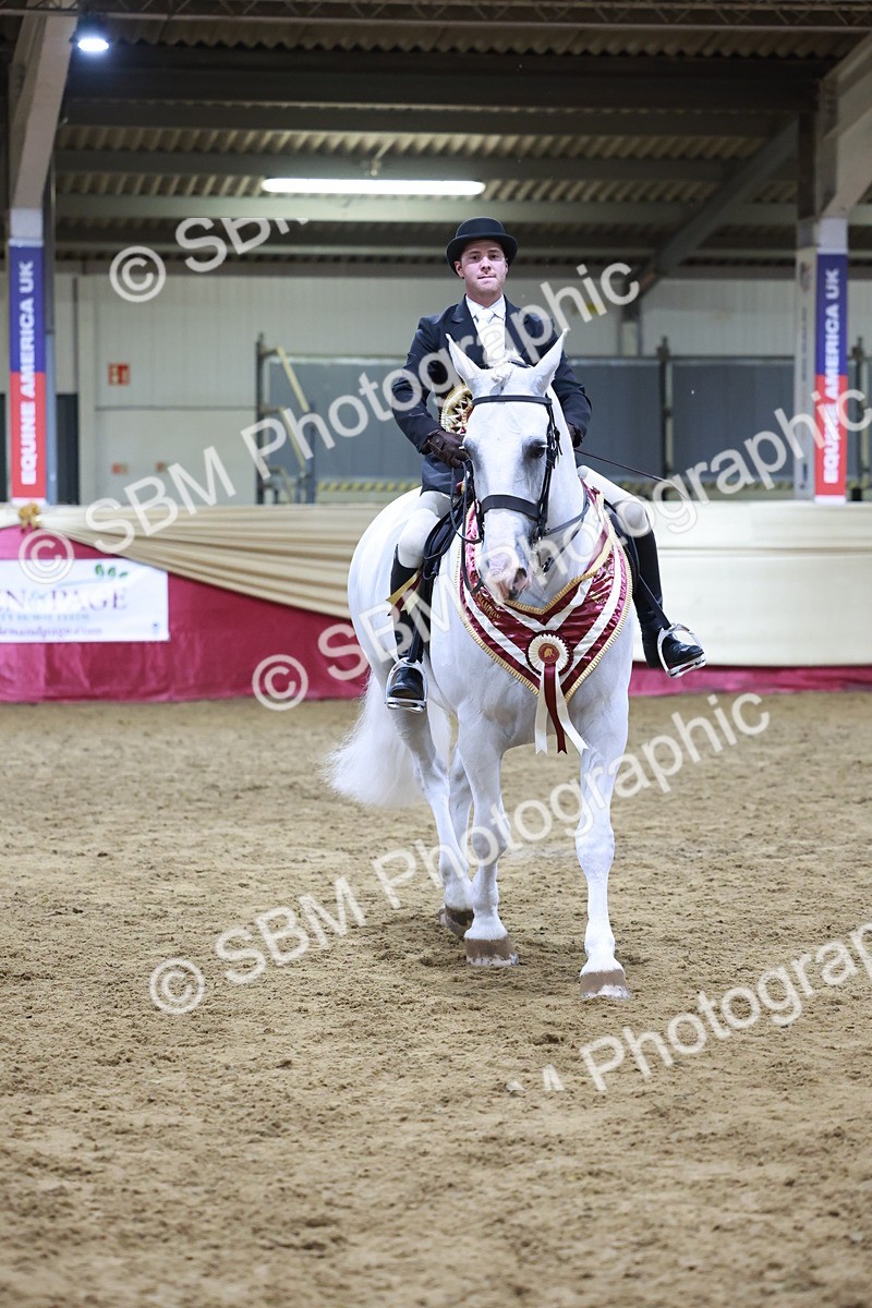 SBM_21579 - Class V - Champion of Champions