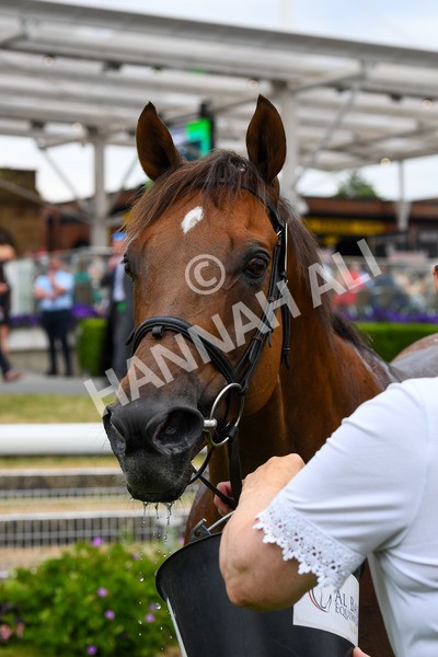 170623-Race 6-Mostawaa-0916 - Race 6 4.50pm Ice Co Supporting Macmillan Handicap