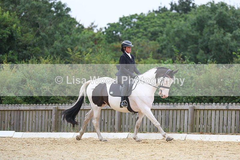 3E7A7088 - Class 7: Novice 4 2024 Section B