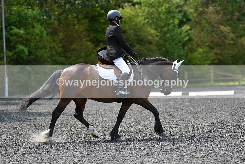 WJ5_9767 - Time 10:51 to 11:44