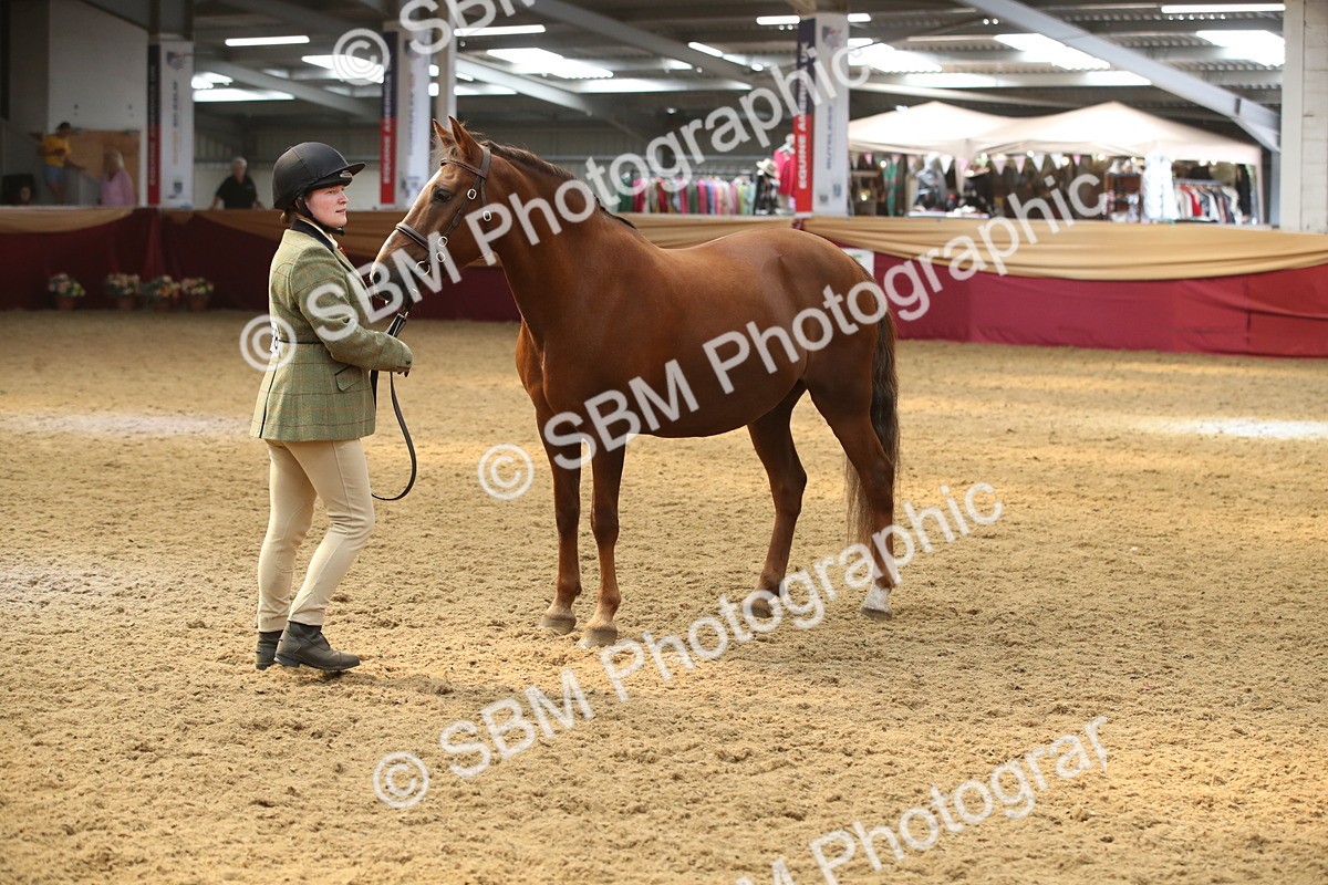 SBM_05627 - Class 9R - Regional IH Pre-Vet