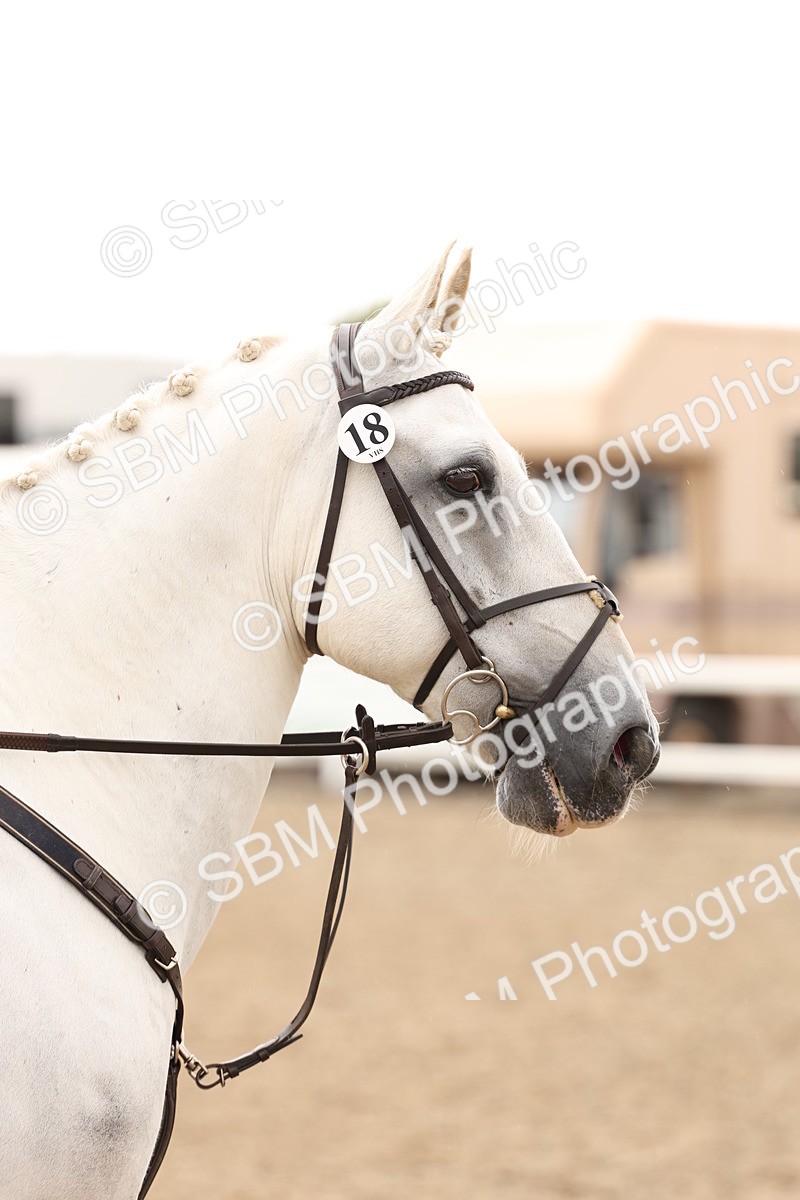 SBM_06766 - Class 58a -  Style & Performance - 70cm (15-19)