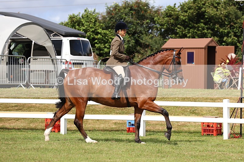 3E7A9299 - Class 4: Rising Star M/H Hunter