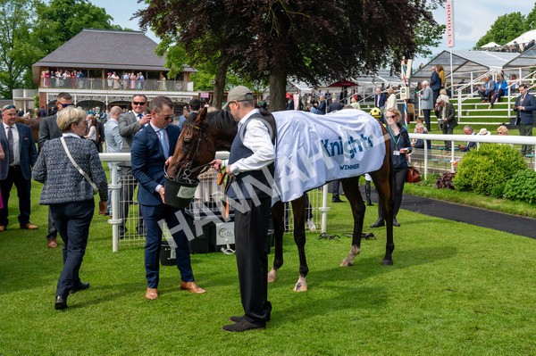 170524-Race 2-Botanical-8643 - Race 2 2.45pm Knights Solicitors Handicap