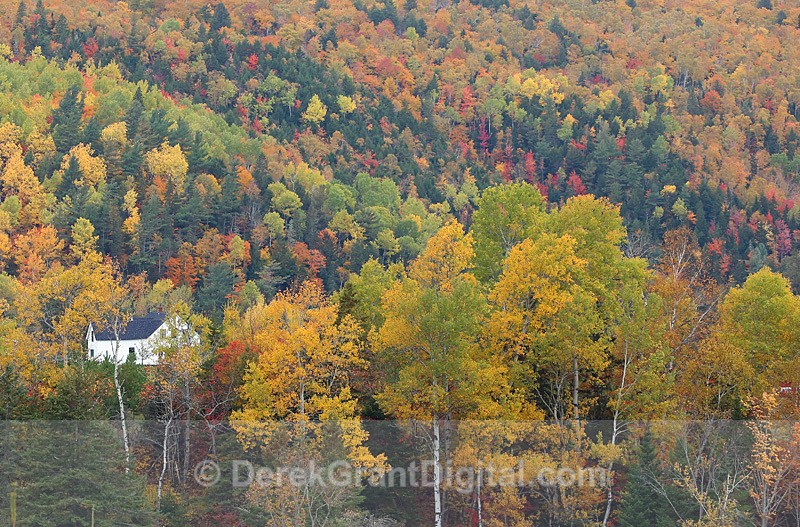 New Brunswick Fall Colors - Country House in Autumn - Autumn Foliage
