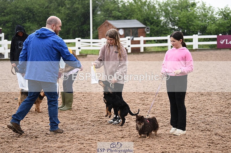 240518A-133002-01313 - Cls 8 Dog the judge would most like to take home