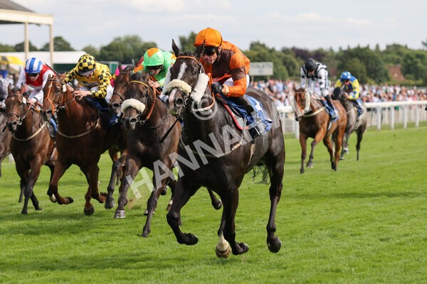 yr08072022r6-14 - Race 6 5.00pm Irish Thoroughbred Marketing Stakes