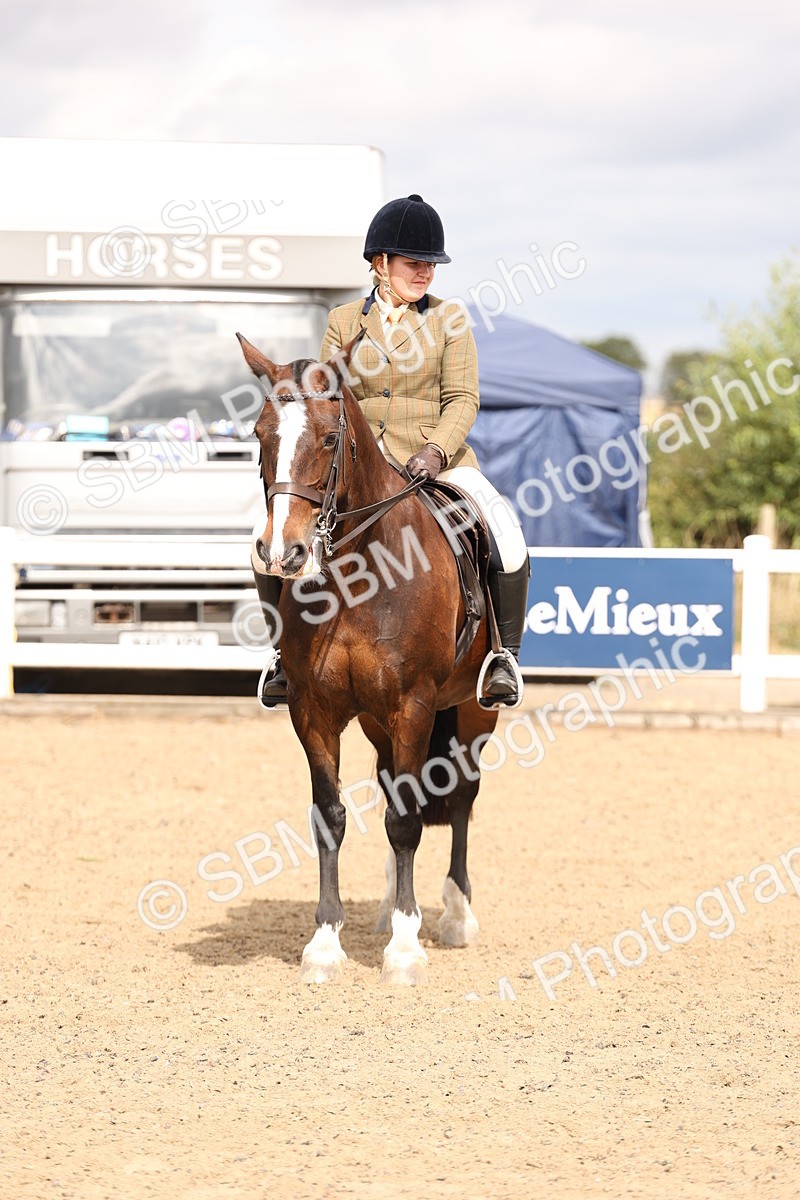 SBM_05168 - Class 56a -  Style & Performance - 50cm (15-19)