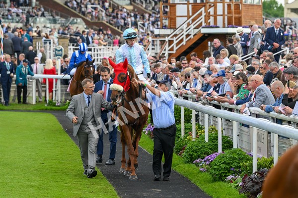 170524-Race 4-Giavellotto-8004 - Race 4 3.45pm Boodles Yorkshire Cup Stakes