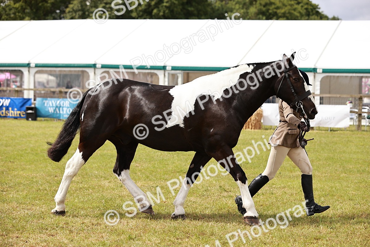 SBM_13148 - Class 85-87 - RIHS Cobs