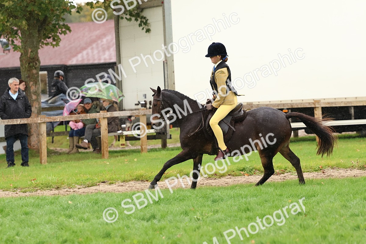 SBM_45061 - S27 - Young Veteran Ridden