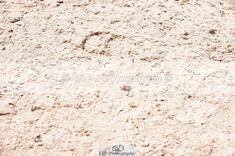 250510-110148-10986 - Cls 15 Prestige Big Star Qualifier