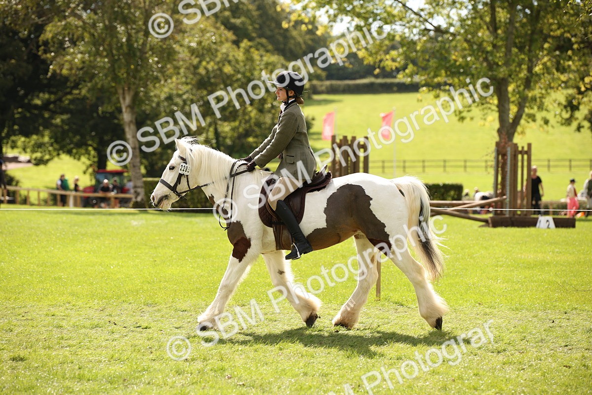 SBM_42288 - S13 - Pony Club Pony