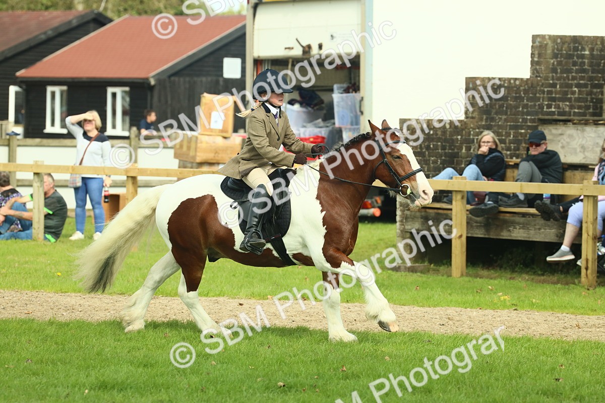 SBM_68846 - S58 - Mini Show Cob Ridden