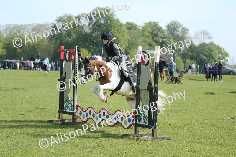 20260426-0195 - Class 13 - Rookie Jumping 50cm