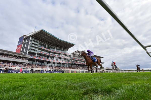 210825-Race 4-Minnie Hauk-9046 - Race 4 3.35pm Pertemps Network Yorkshire Oaks