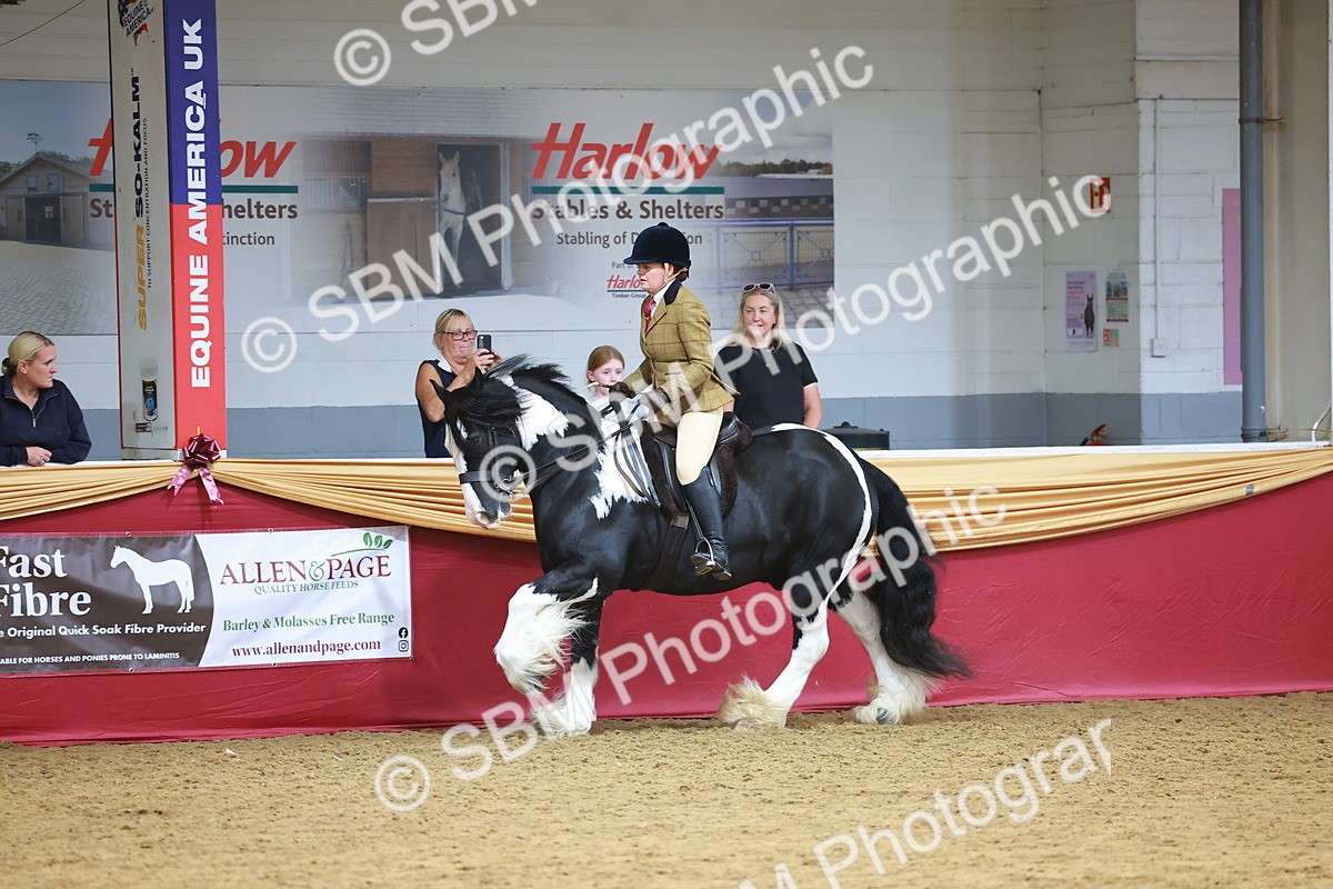 SBM_06281 - Class 12R - Ridden Pre-Vet