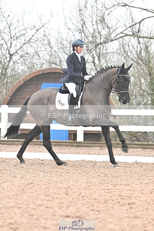 250215-133342-03892 - 165-Elder.Klatzko-Dynasty.Hit