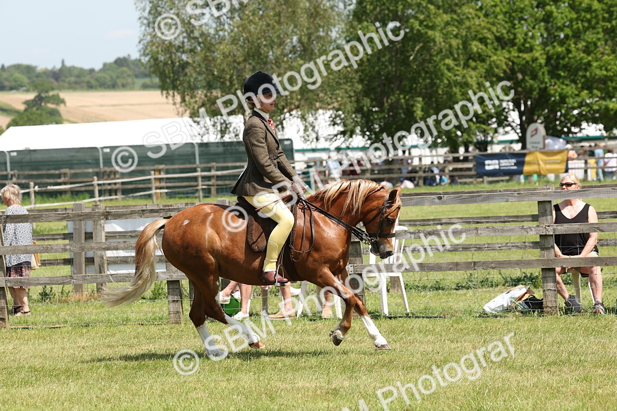 SBM_06751 - Class 26-30 - Mountain and Moorland Ridden