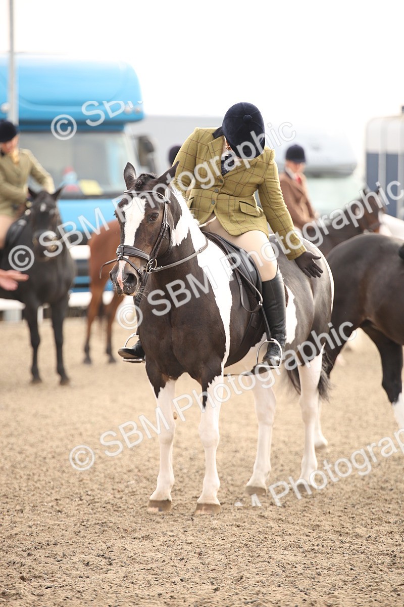 SBM_09752 - Class 401 Riding Club Pony