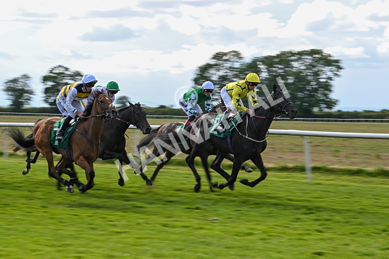 160624-Race 4-Align The Stars-8745 - Race 4