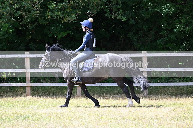 WJ7_0481 - 40cm Time 12:10 to 12:20