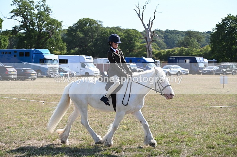 WJ6_7481 - Class 34 Judges Choice