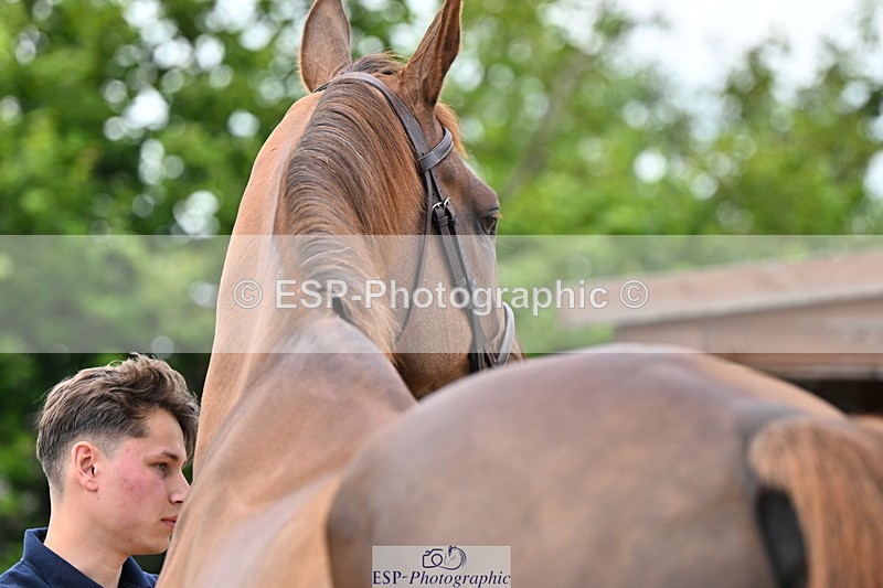 240718A-105324-01960 - Trot Up 2pm to 3pm - This folder is not in time order