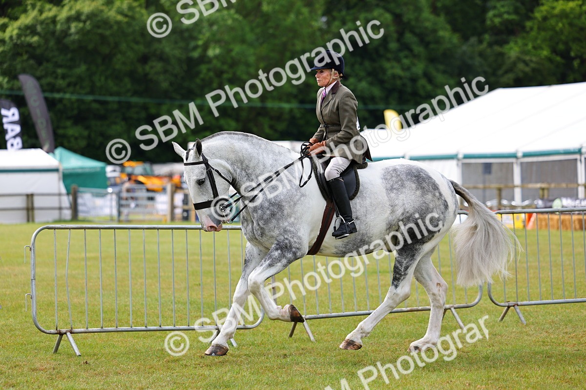 SBM_02521 - Class 9-11 Side Saddle including LIHS Rising Star Ladies Show Horse