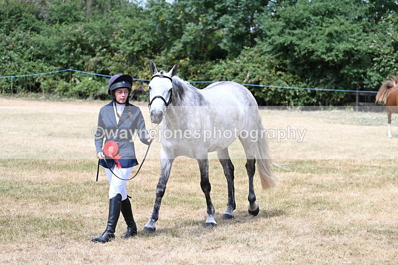 WJ7_2074 - Prettiest Mare Champs