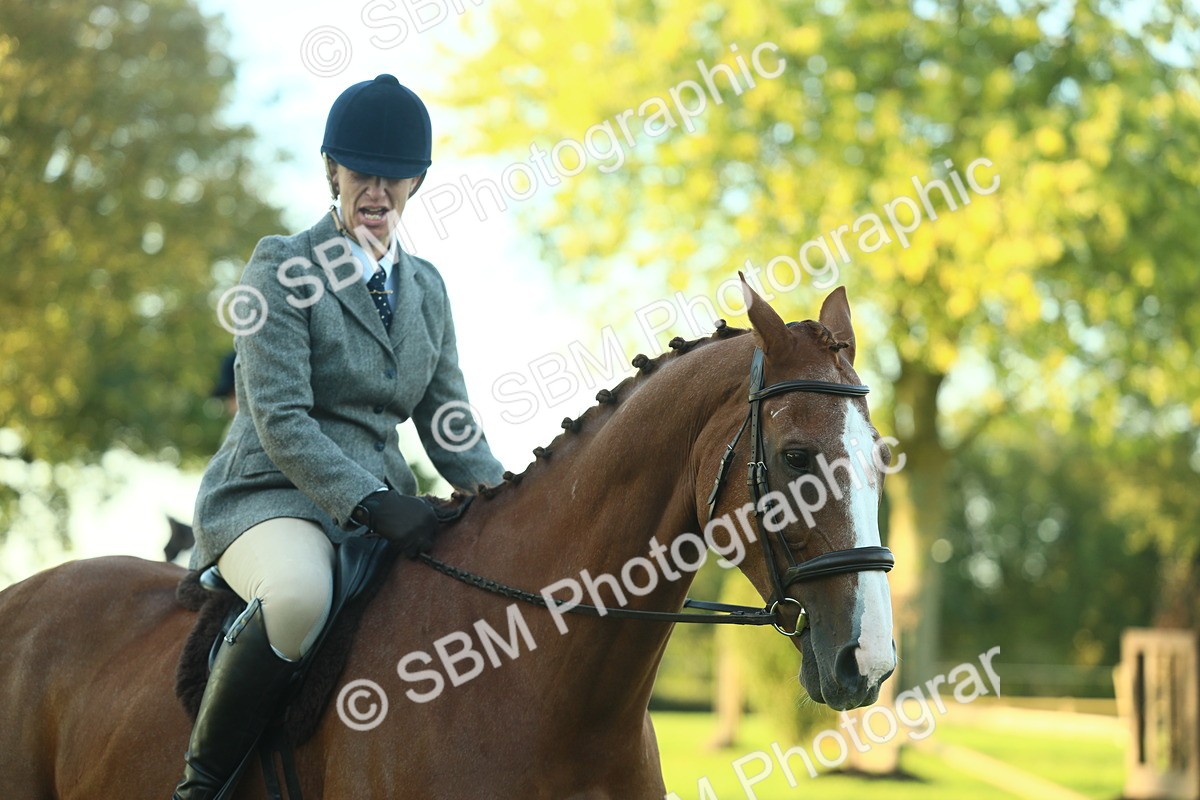 SBM_55647 - S14 - Riding Club Horse