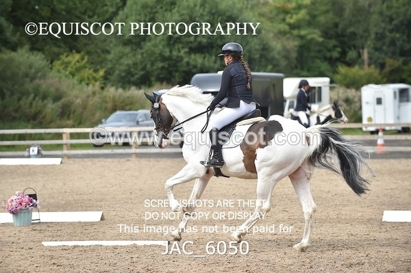 JAC_6050 - NOVICE 6