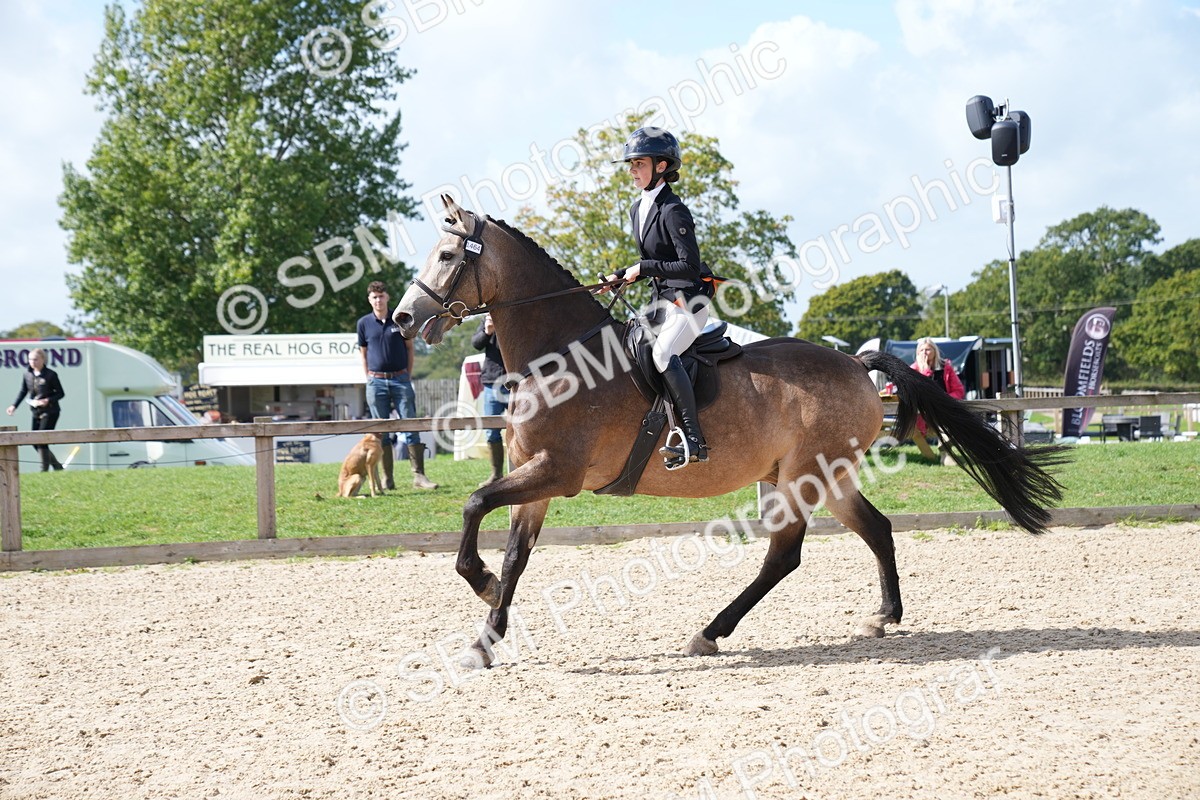 SBM_05960 - J56 - Clear Round 70cm