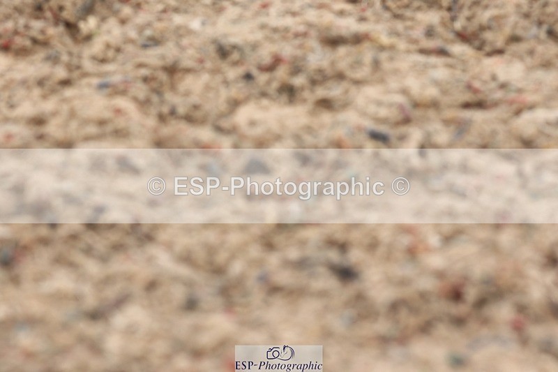 250622-135841-17128 - Cls 51 Elementary 6