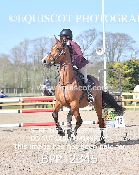 BPP_2345 - CLASS 23 SUN Senior Discovery/ 1m Open