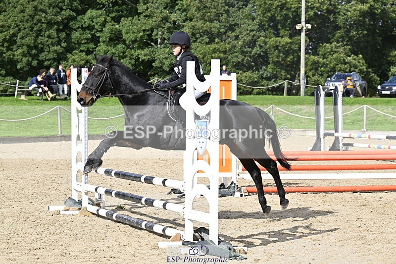 251005A-125546-03961 - Cls 08 Mini 70-75cm