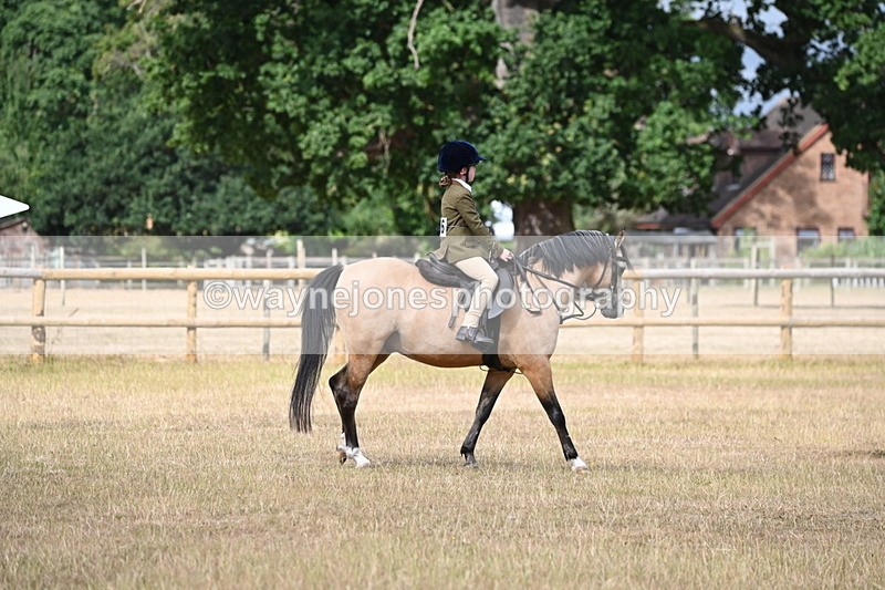 WJ6_7555 - Class 9 Tack and Turnout