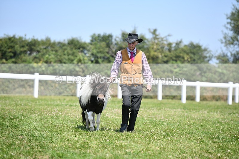 DSC_7663 - Class 64: Coloured Pony 4yrs & over