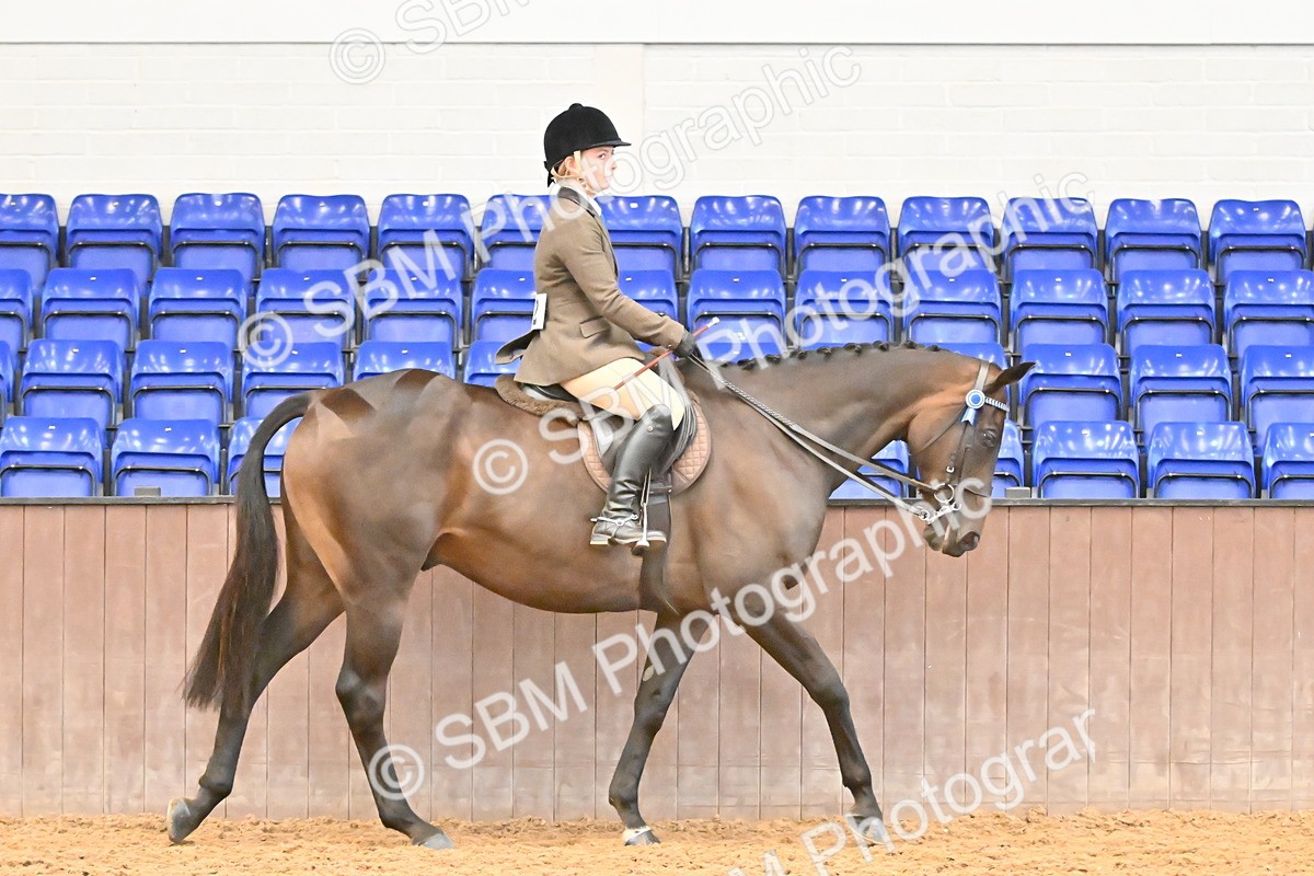SBM_002325 - Class 22 - BSHA Ridden Hack & Riding Horse