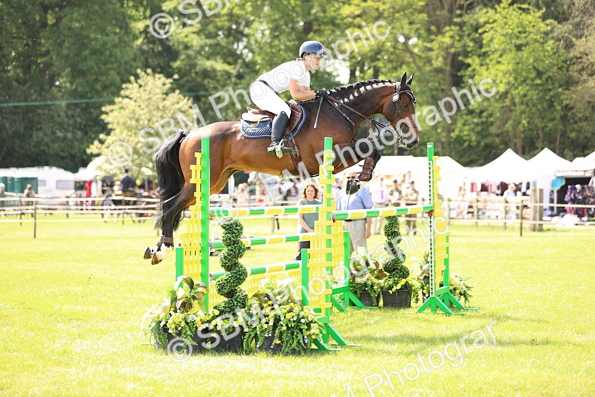 SBM_03023 - Class 201 - British Horse Feedds Speedi Beet HOYS Grade C