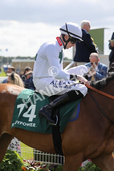yr12052022r3-4 - Race 3 3.00pm The Paddy Power Hambleton Stakes